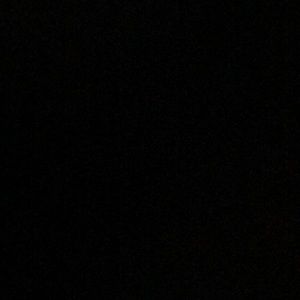 Meet your Posher, Riley